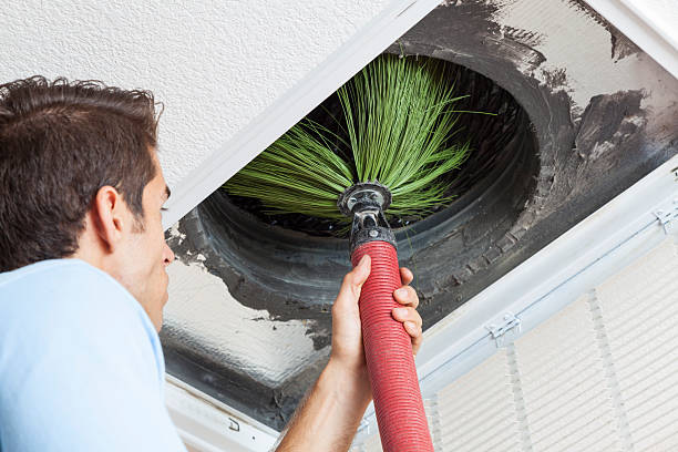 Best Home Air Vent Cleaning  in Redington Shores, FL